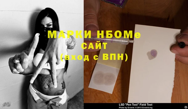 бошки Белокуриха