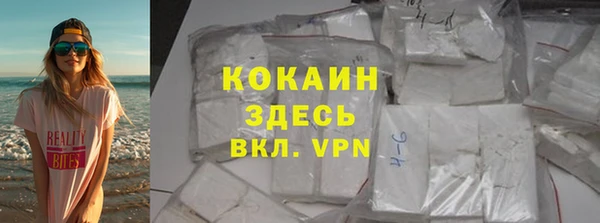 бошки Белокуриха