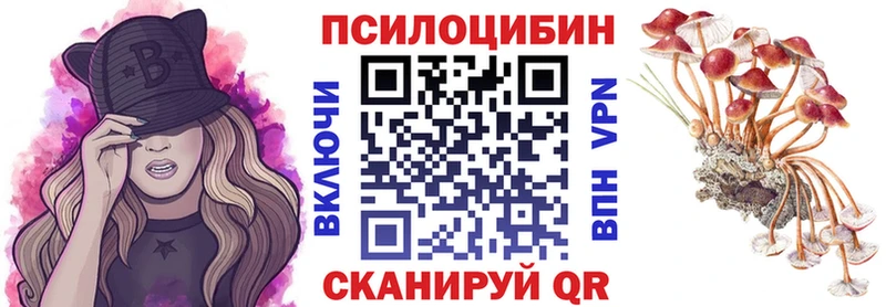 Галлюциногенные грибы Magic Shrooms  Купить закладки  Горно-Алтайск 