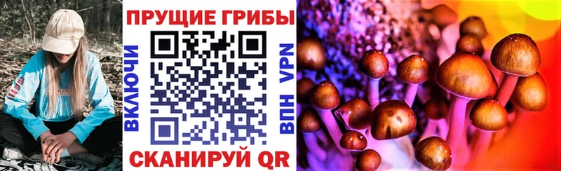 Псилоцибиновые грибы Psilocybine cubensis Горно-Алтайск