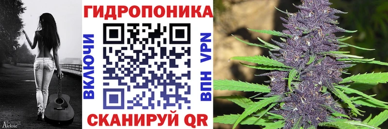 Купить где  Горно-Алтайск  Каннабис семена 
